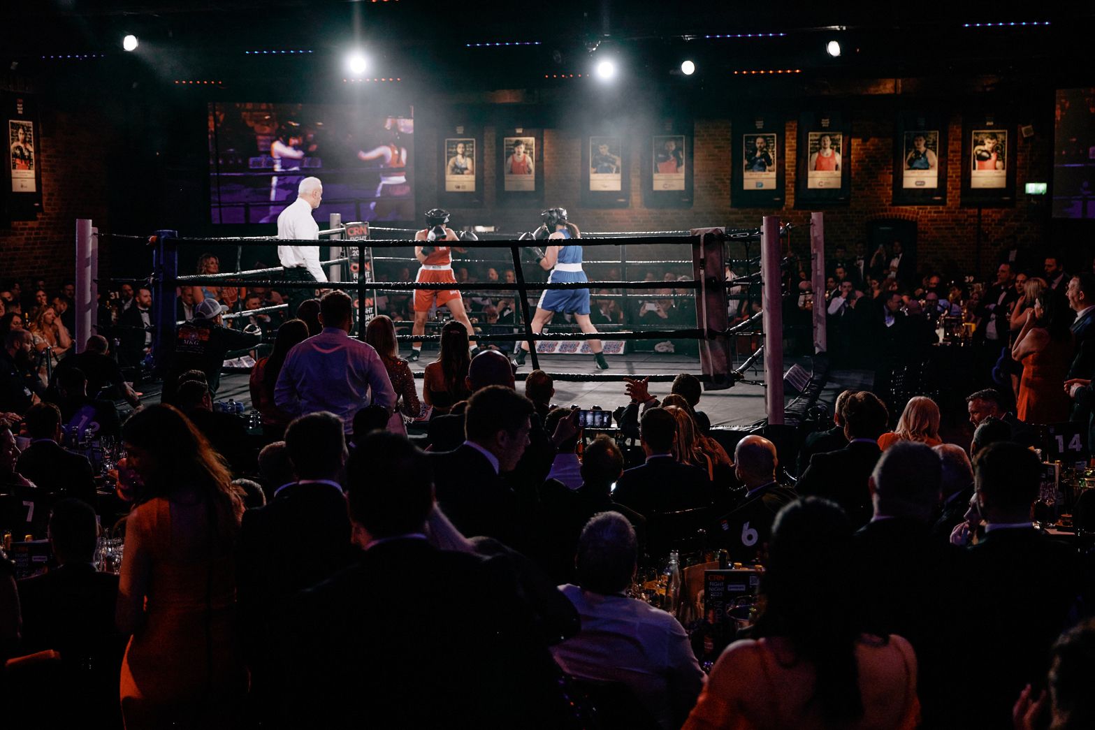 CRN Fight night 3