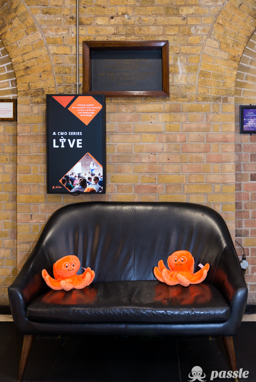 Passle octopus on sofa