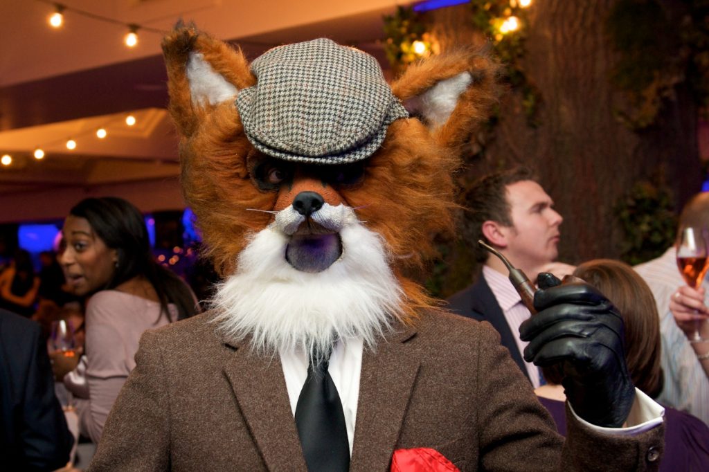 Fox Peculiar wood