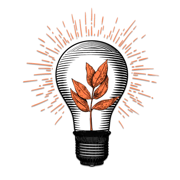 SUSTAINIBILITY